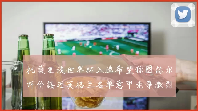 托莫里谈世界杯入选希望称图赫尔评价接近英格兰名单意甲竞争激烈