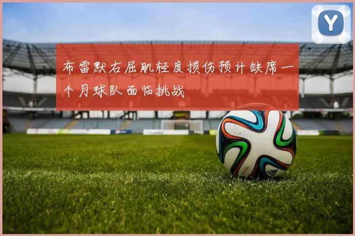 布雷默右屈肌轻度损伤预计缺席一个月球队面临挑战